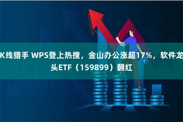 K线猎手 WPS登上热搜，金山办公涨超17%，软件龙头ETF（159899）翻红