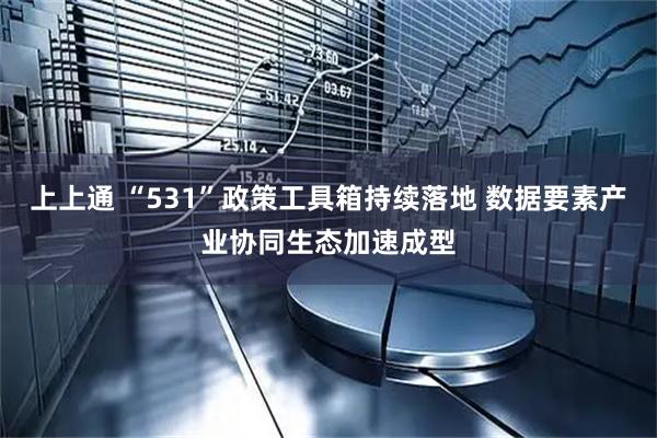 上上通 “531”政策工具箱持续落地 数据要素产业协同生态加速成型
