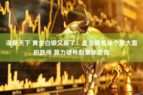 谋略天下 黄金白银又崩了！贵金属板块个股大面积跌停 算力硬件股集体走强